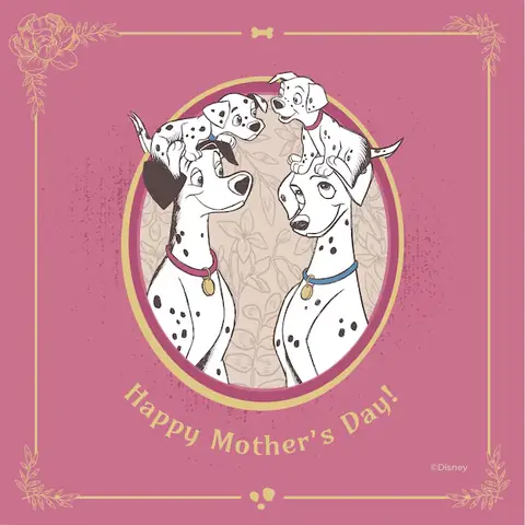 101 Chú Chó Đốm Tiếng Việt: Những Điều Bạn Cần Biết 101 Chú Chó Đốm Tiếng Việt: Những Điều Bạn Cần Biết