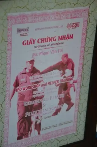 Ảnh Chó Cắn Áo Rách