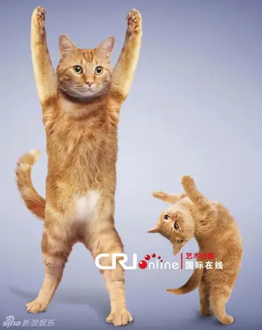 Ảnh Chó Mèo Ngộ Nghĩnh: Khoảnh Khắc Đáng Yêu Và Lợi Ích Tinh Thần Khoa Học Chứng Minh