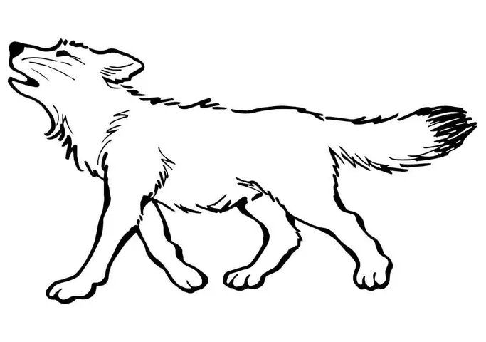 Hình Ảnh Cho Con Chó Hoạt Hình Màu Trắng: