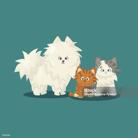 Hình Ảnh Cho Con Chó Hoạt Hình Màu Trắng: