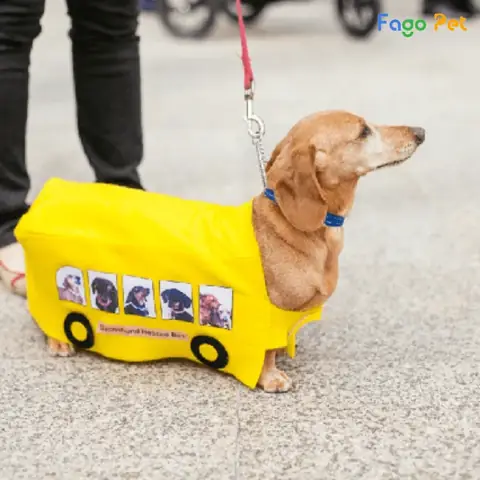 Quần Áo Cho Chó Lạp Xưởng Hình Chiếc Xe Buýt Ngộ Nghĩnh