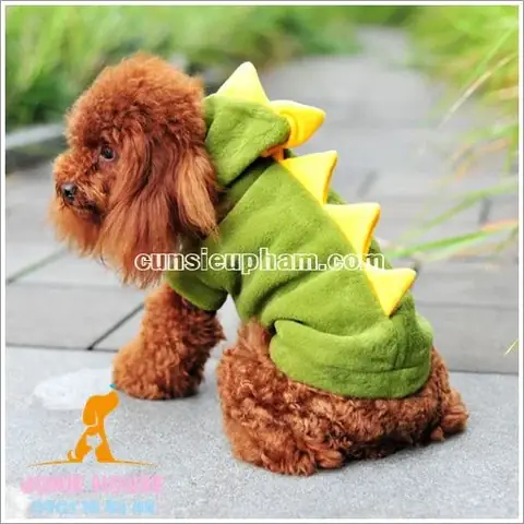 Áo Khủng Long Cho Chó: Chọn Thế Nào Để Vừa Đẹp, Vừa Thoải Mái, Vừa An Toàn?