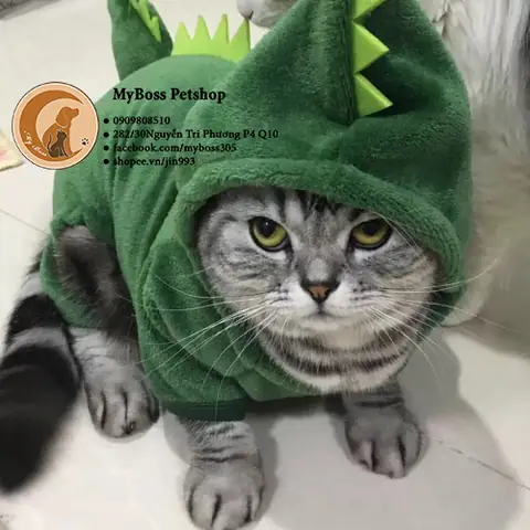 Áo Khủng Long Cho Chó: Chọn Thế Nào Để Vừa Đẹp, Vừa Thoải Mái, Vừa An Toàn?