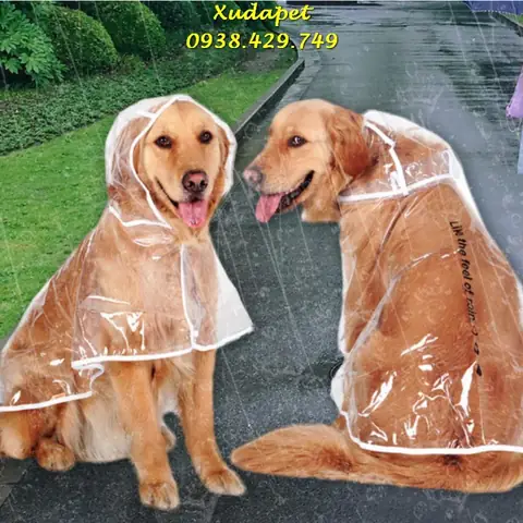 Áo Mưa Trong Suốt Cho Chó Lớn Trên 12kg