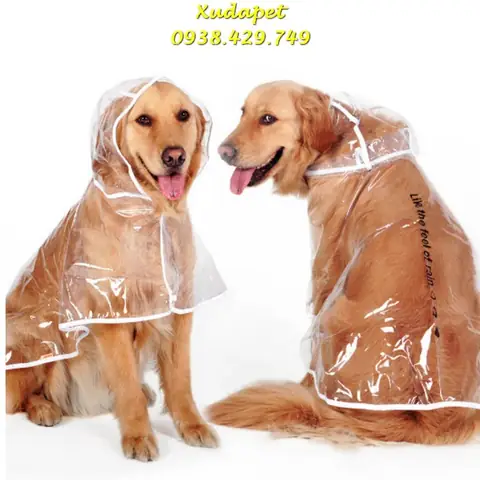Áo Mưa Trong Suốt Cho Chó Lớn Trên 12kg
