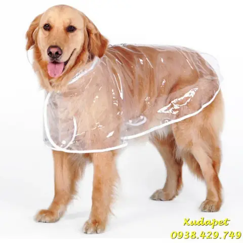 Áo Mưa Trong Suốt Cho Chó Lớn Trên 12kg
