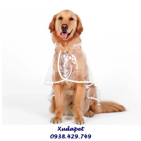 Áo Mưa Trong Suốt Cho Chó Lớn Trên 12kg