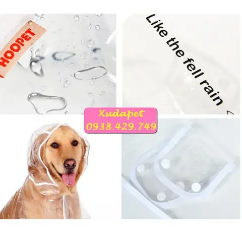 Áo Mưa Trong Suốt Cho Chó Lớn Trên 12kg
