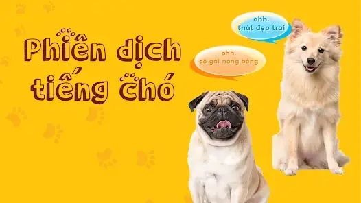 Tại Sao Các Ứng Dụng “dịch Tiếng Thú Cưng” Thiếu Độ Tin Cậy?