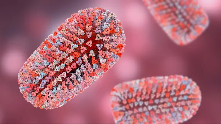 Bà Bầu Bị Chó Cắn Có Nguy Hiểm Không?