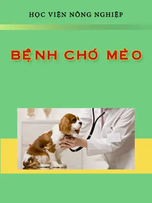 Bài Giảng Bệnh Chó Mèo: Kiến Thức Cơ Bản, Dấu Hiệu Nhận Biết Và Cách Phòng Ngừa