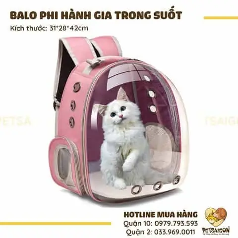 Balo Cho Chó Mèo Đeo: Hướng Dẫn Chọn & Sử Dụng An Toàn