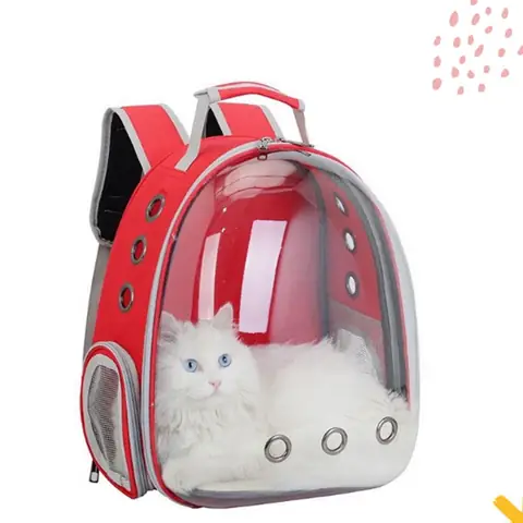 Balo Cho Chó Mèo Đeo: Hướng Dẫn Chọn & Sử Dụng An Toàn