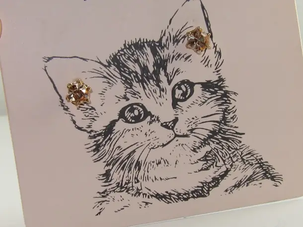 Bấm Lỗ Tai Cho Chó