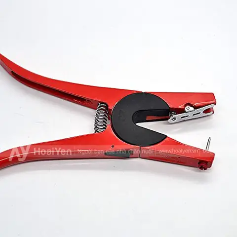 Bấm Lỗ Tai Cho Chó: Hướng Dẫn An Toàn Từ Chuyên Gia Thú Y