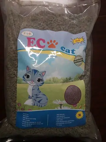 Địa Chỉ Bán Cát Vệ Sinh Cho Mèo Tại Hà Nội