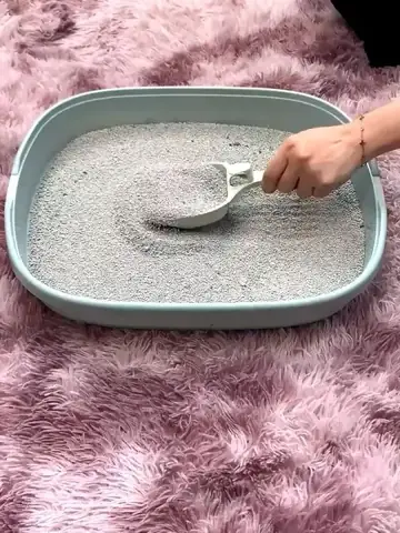 Cát Vệ Sinh Cho Mèo 30kg Sử Dụng Được Bao Lâu