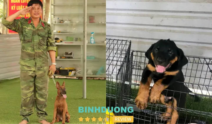 Trung Tâm Huấn Luyện Chó Nghiệp Vụ Quốc Khuyển 577