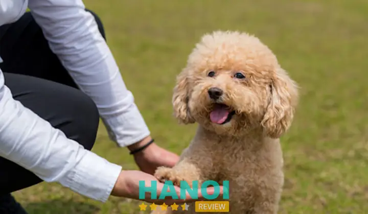 Trung Tâm Đào Tạo Chó Nghiệp Vụ Đức Giang