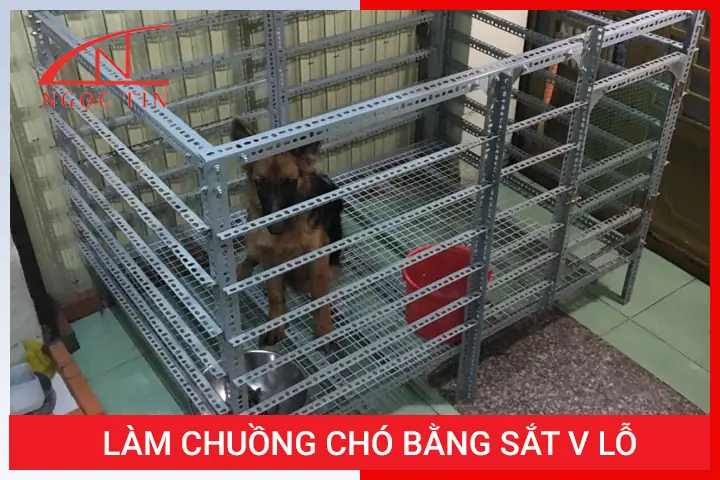 Vì Sao Nên Làm Chuồng Chó Bằng Sắt V Lỗ