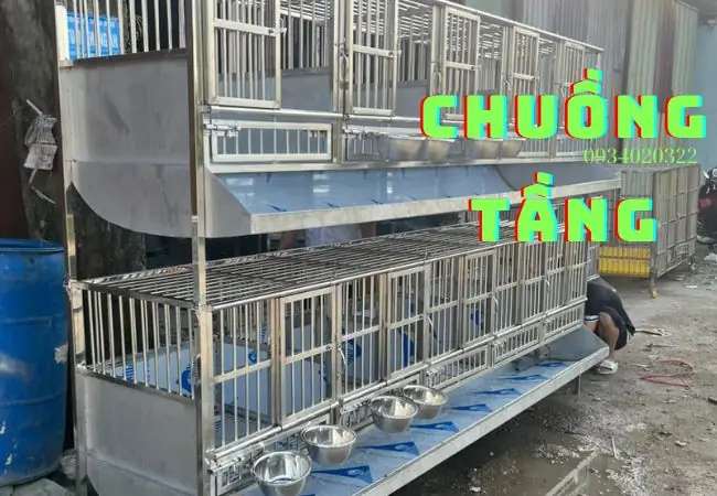 Chuồng Tầng Tích Hợp Hệ Thống Máng Thải Mức Giá Từ 10 Triệu Đồng Đến 18 Triệu Đồng