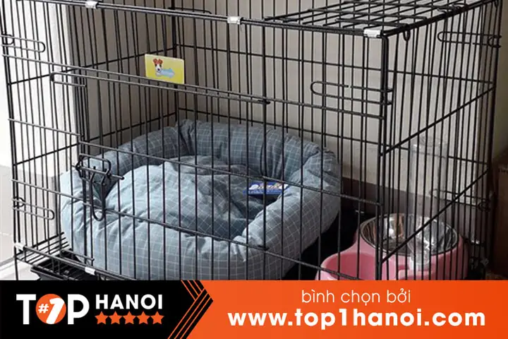 Chuongchodep.com - Chuồng Chó Đẹp Hà Nội Chuongchodep.com - Chuồng Chó Đẹp Hà Nội