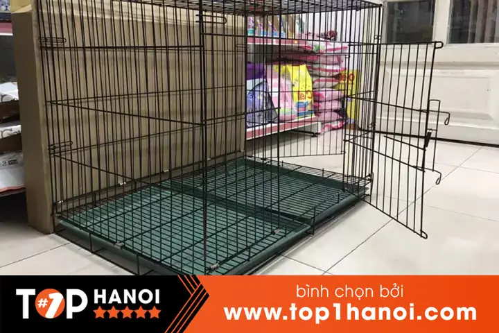 Én Bạc - Chuồng Chó Ở Hà Nội Én Bạc - Chuồng Chó Ở Hà Nội