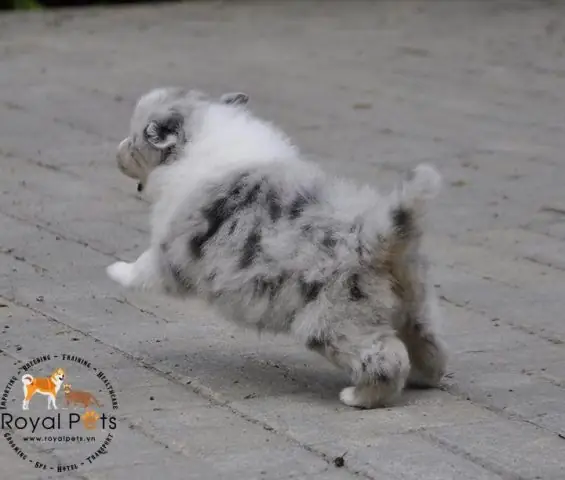 Lựa Chọn Địa Chỉ Uy Tín