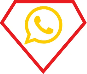 Quyền Lợi Của Khách Hàng Khi Mua Bán Chó Phốc Sóc Tại Sieupet.com