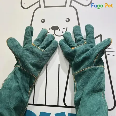 Thông Tin Sản Phẩm Găng Tay Huấn Luyện Chó