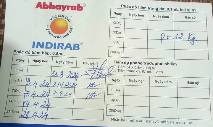 Bé Bị Chó Cắn Chết