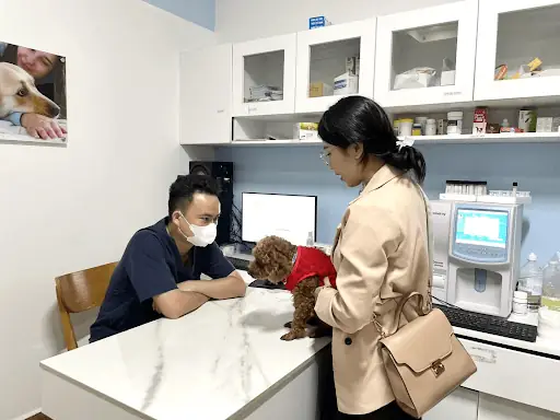 Nguyên Nhân Gây Bệnh Nguyên Nhân Gây Bệnh