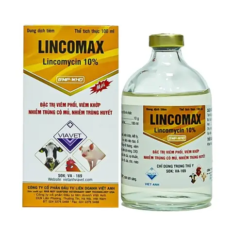 Tìm Hiểu Bệnh Viêm Tai Ở Chó Mèo