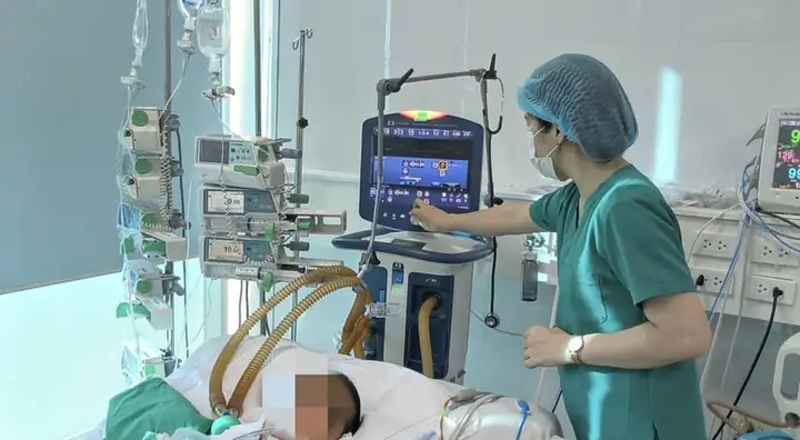 Bệnh Viện Chó Mèo Nha Trang: Hướng Dẫn Chi Tiết Chọn Cơ Sở Uy Tín, Giá Cả & Dịch Vụ Tốt Nhất Bệnh Viện Chó Mèo Nha Trang: Hướng Dẫn Chi Tiết Chọn Cơ Sở Uy Tín, Giá Cả & Dịch Vụ Tốt Nhất