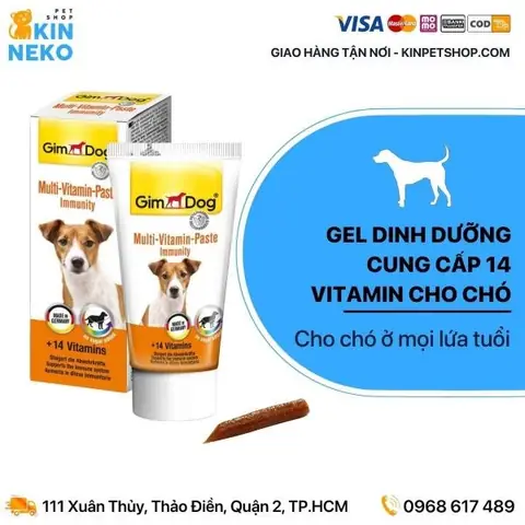 Chuẩn Bị Gì Cho Chó Mang Thai?