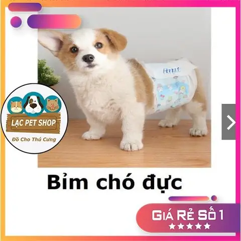 Bỉm Cho Chó Giá Rẻ: Hướng Dẫn Chọn Mua Và Sử Dụng Hiệu Quả