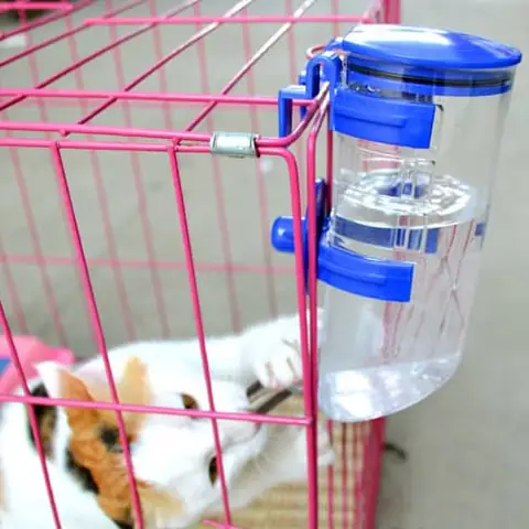 Bình Nước Cho Chó Lớn: Hướng Dẫn Chọn Mua Và Sử Dụng Đúng Cách