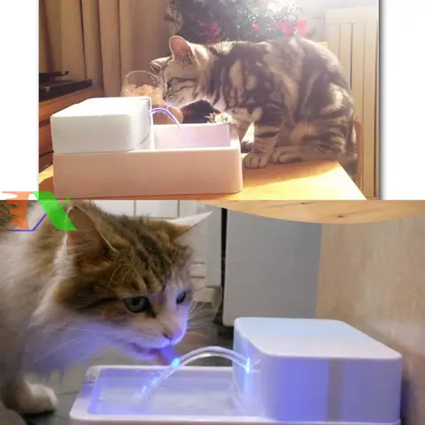 Bình Nước Tự Động Cho Chó