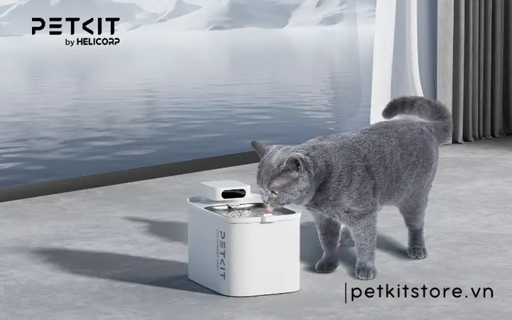 Máy Lọc Nước Cho Mèo Petkit Là Gì?