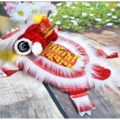 Đối Tượng Sử Dụng Áo Lân Cho Chó