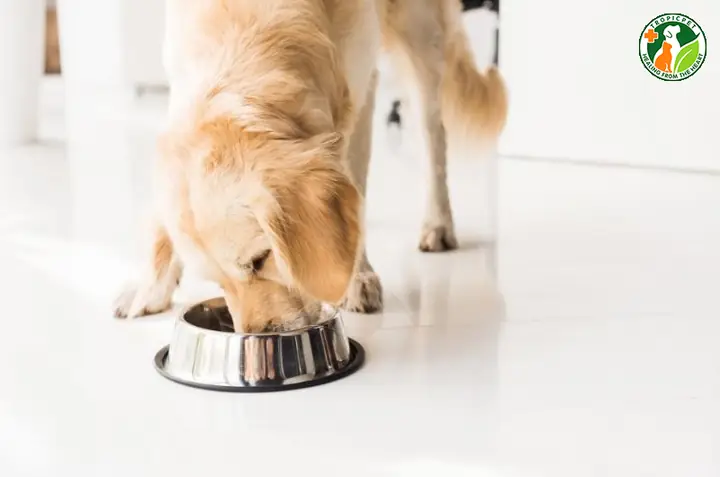 Các Biện Pháp Xử Lý Tại Nhà: