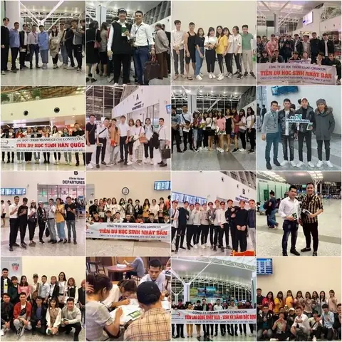 Bộ Phim Chú Chó Hachiko