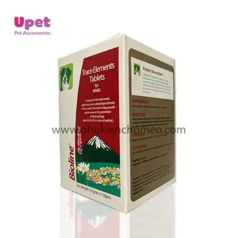 Hướng Dẫn Bổ Sung Máu Cho Chó: Dấu Hiệu, Nguyên Nhân Và Giải Pháp An Toàn