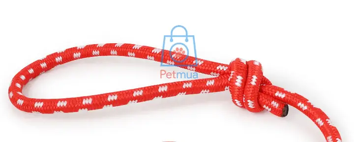 Lợi Ích Của Nóng Cao Su Dây Cắn Gặm Huấn Luyện Chó