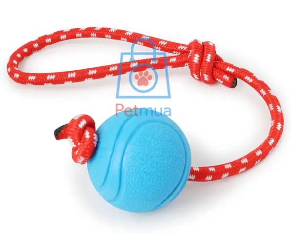 Tại Sao Nên Chọn Bóng Cao Su Dây Cắn Gặm?