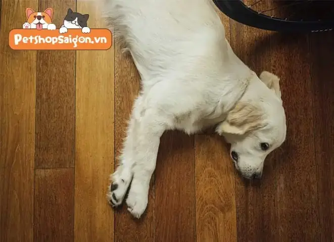 Tập Thể Dục Đều Đặn Và Phù Hợp Tập Thể Dục Đều Đặn Và Phù Hợp