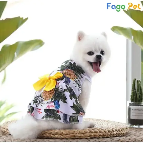 Đầm Hoa Nữ Tính Cho Chó