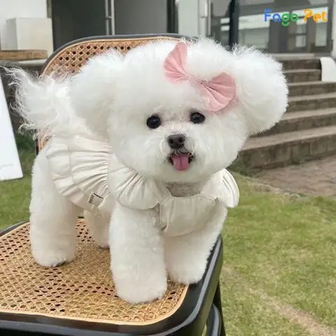 Áo Đầm Công Chúa Cho Chó