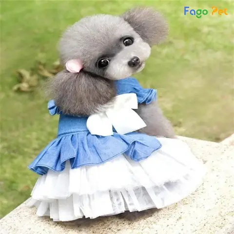 Cách Đo Kích Thước Cơ Thể Để Chọn Quần Áo Cho Cún